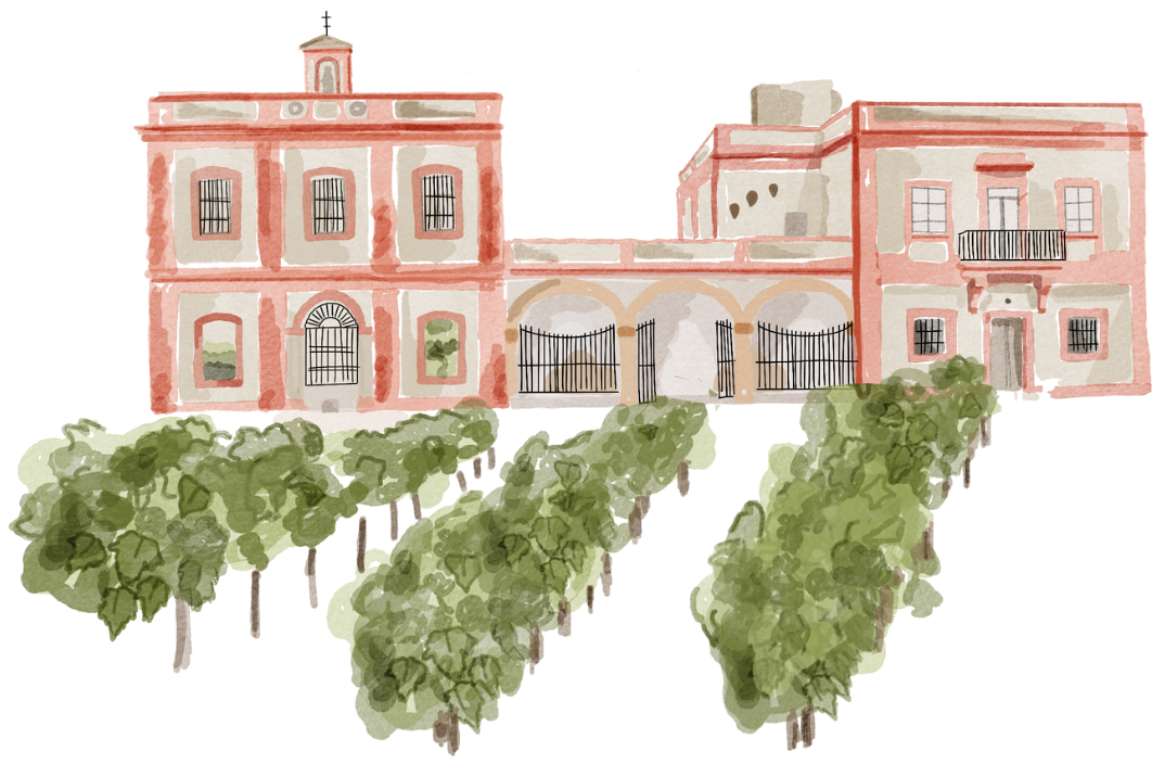 Finca